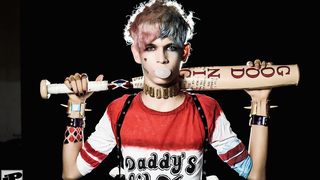 Mr. Harley Quinn